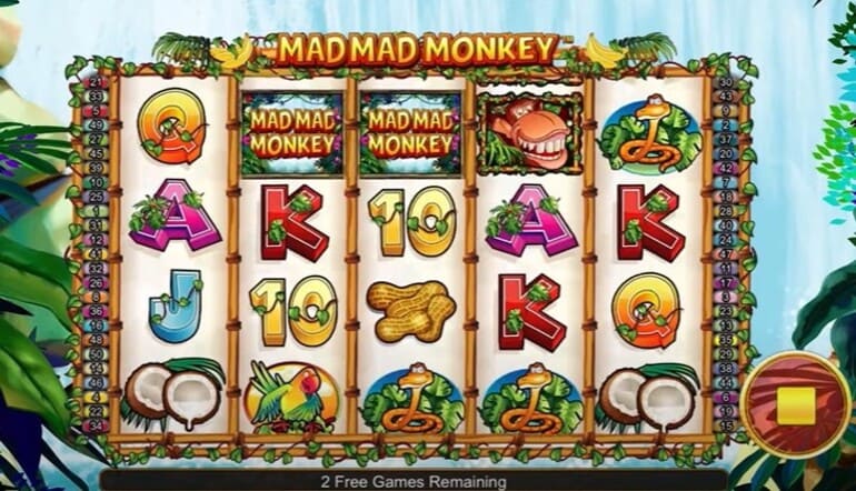 mad mad monkey slot