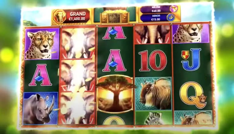 stampida slot