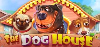 the dog house slot