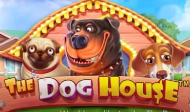 the dog house slot